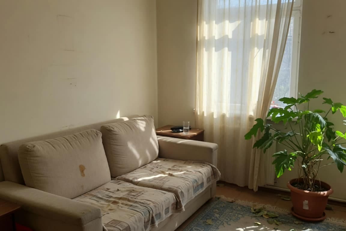 A living room in afternoon light, sofa under a window with sheer curtains.