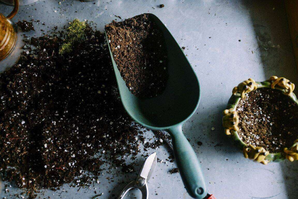 File list: shot.webp has no thumbnail, shot.jpg shows potting soil and a green trowel.